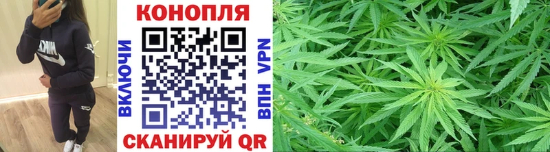 Бошки Шишки ГИДРОПОН  купить  сайты  Свободный 